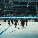 Crowd celebrating in a stadium with confetti and raised arms
