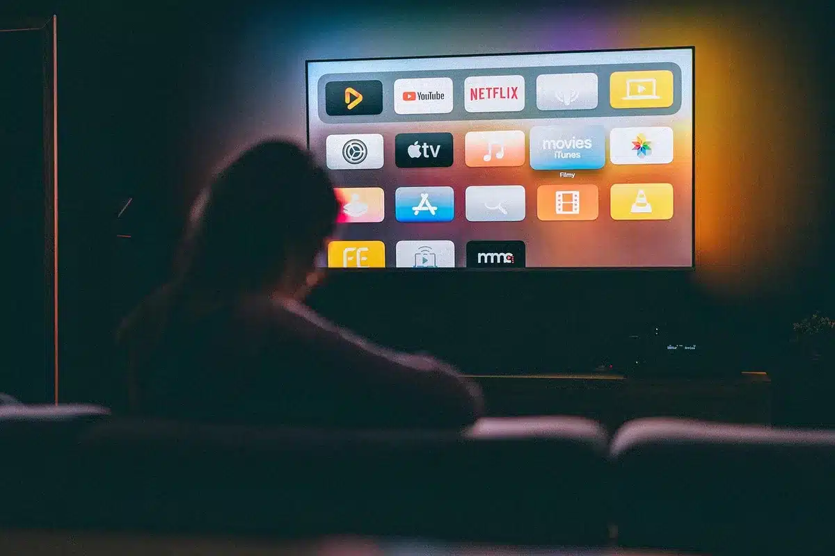 Television screen showing a generic streaming interface with cancelled notification