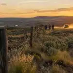 Yellowstone: 'Marshals' Is Sabotaging a Crucial Multi-Generational Plot